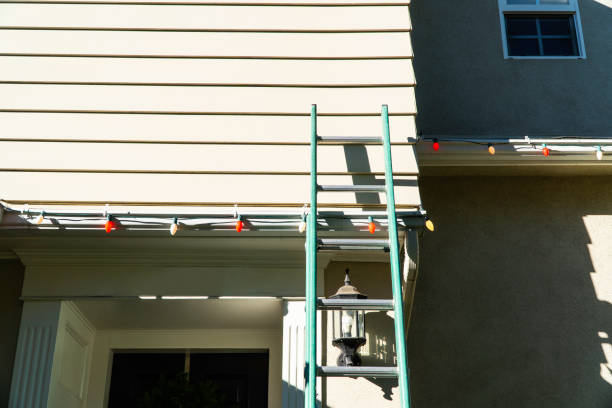 Best Siding Painting and Refinishing  in Dimondale, MI