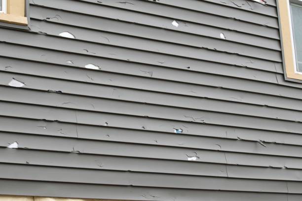 Best Siding for New Construction  in Dimondale, MI