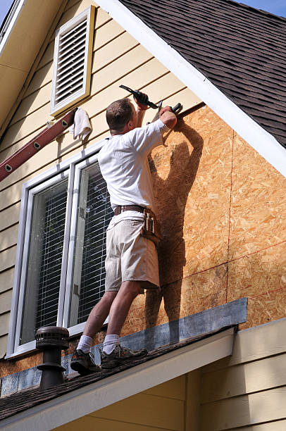 Best Fascia and Soffit Installation  in Dimondale, MI